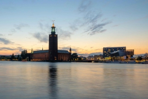 ストックホルムの名所：旧市街とリッダルホルメンのプライベートガイド付きツアー