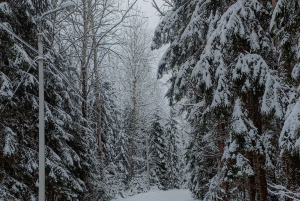 Stockholm: Einführung ins Langlaufen