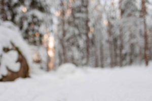 Stockholm: Einführung ins Langlaufen