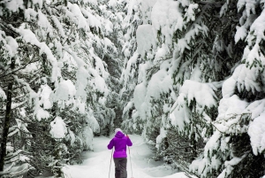 Stockholm: Einführung ins Langlaufen