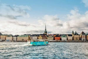 Estocolmo: Excursão de Ônibus Anfíbio por Terra e Água