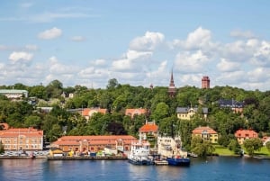 Estocolmo: Excursão de Ônibus Anfíbio por Terra e Água