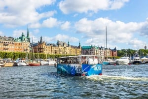 Stockholm: Land and Water Tour by Amphibious Bus