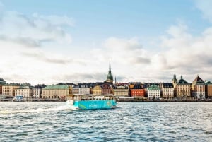 Stockholm: Land and Water Tour by Amphibious Bus
