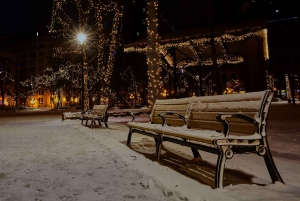 Stockholm: Magical Christmas Tour