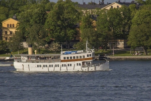 Stockholm: Midsummer Archipelago Boat Tour Live Guide DE/EN