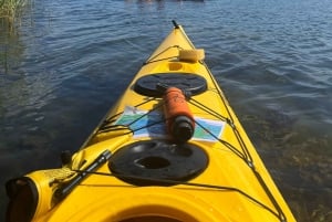 Estocolmo: Excursión Matinal en Kayak por el Archipiélago + Almuerzo
