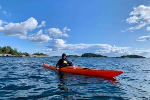 Stoccolma: Tour mattutino in kayak nell'arcipelago + pranzo