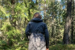 Stockholm, Mushroom and Wild Plant Foraging Tour with expert