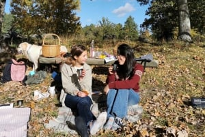 Stockholm, Mushroom and Wild Plant Foraging Tour with expert