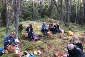 Stockholm, Mushroom and Wild Plant Foraging Tour with expert