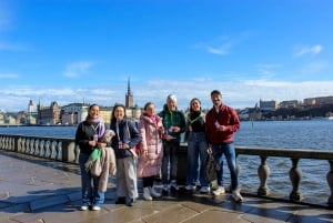 Stockholm: Must-sees tour van Stadhuis, Oude Stad & Vasaschip