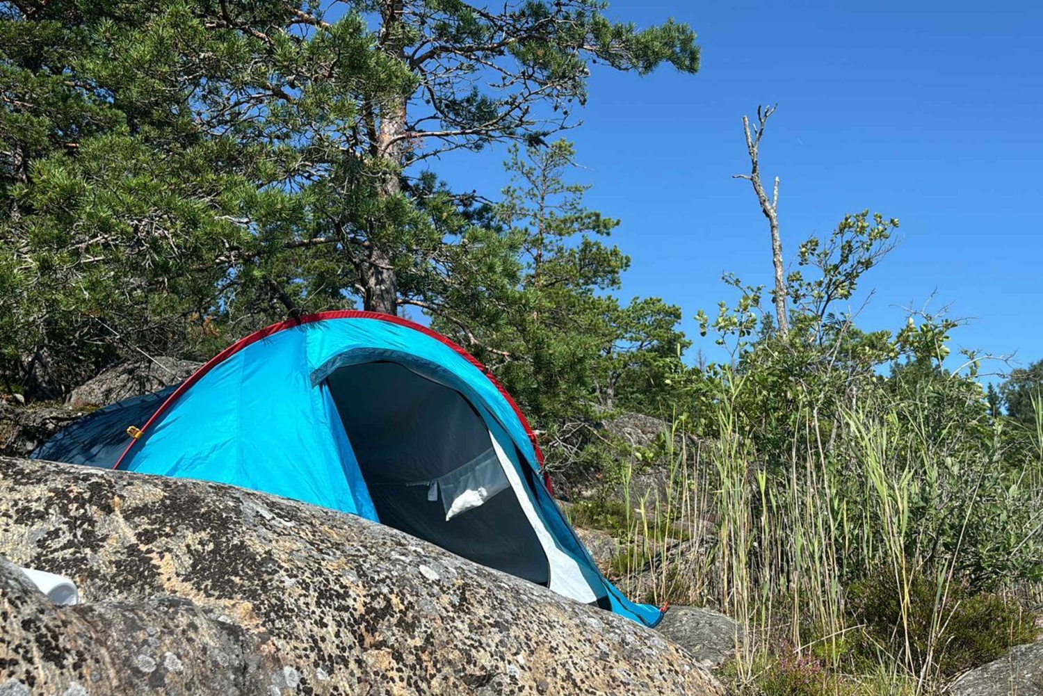 Stockholmer Natur: Tagescamping im Freien mit Lagerfeuer