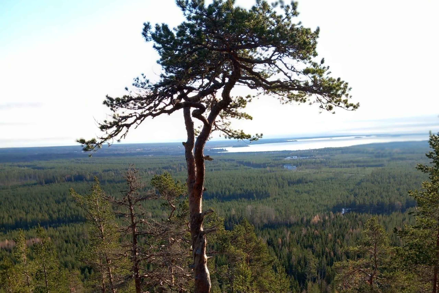 Stockholmer Natur: Tagescamping im Freien mit Lagerfeuer