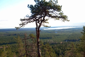 Stockholmer Natur: Tagescamping im Freien mit Lagerfeuer
