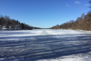 Stockholm: Nature Reserve Eco-Friendly Hiking Tour