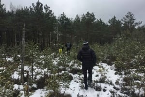Stockholm: Nature Reserve Eco-Friendly Hiking Tour
