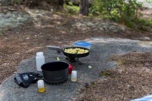 Stockholm: 3-uur wandeltour op sneeuwschoenen met Fika