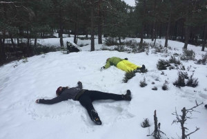 Stoccolma: Escursione nella riserva naturale con pranzo al fuoco
