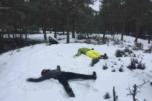 Sztokholm: Wycieczka piesza do rezerwatu przyrody z obiadem przy ognisku