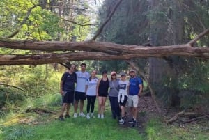 Sztokholm: Wycieczka piesza do rezerwatu przyrody z obiadem przy ognisku