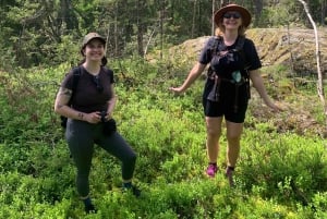 Sztokholm: Wycieczka piesza do rezerwatu przyrody z obiadem przy ognisku