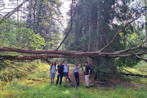 Sztokholm: Wycieczka piesza do rezerwatu przyrody z obiadem przy ognisku