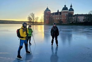 Estocolmo: Patinaje Nórdico sobre Hielo para Principiantes en un Lago Helado
