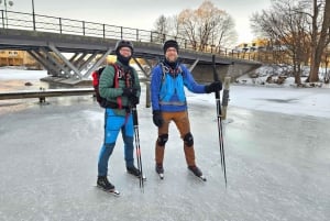 Sztokholm: Łyżwiarstwo klasyczne dla początkujących na zamarzniętym jeziorze
