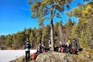 Stockholm: Nordiske skøyter for nybegynnere på en frossen innsjø