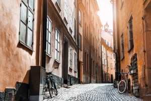 Tukholma: Vanhakaupunki 2 tunnin opastettu kävelykierros, Historialliset