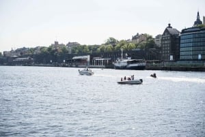 Estocolmo: centro histórico, isla de Djurgården y Museo Vasa