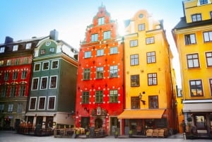 Høydepunkter i gamlebyen i Stockholm, Det kongelige slott og Vasamuseet