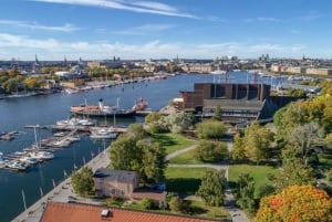 Visite de la vieille ville de Stockholm, du palais royal et du musée Vasa