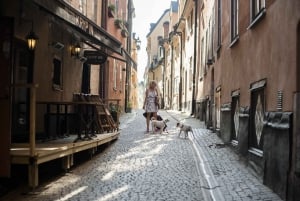 Stockholm: Privat byvandring i gamla stan og på Vasamuseet