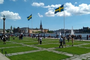 Stockholm: Old Town Walking Tour and the Vasa Museum