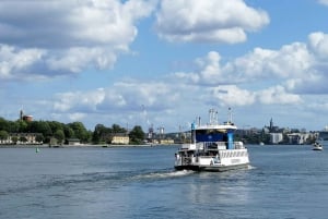 Stockholm: Stadsvandring i Gamla stan och Vasamuseet