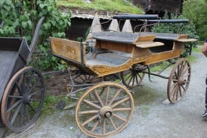 Estocolmo: Tour guiado personalizado para familias