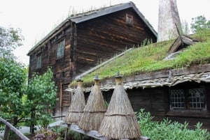 Estocolmo: Tour guiado personalizado para familias