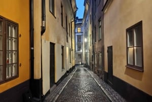 Stockholm : visite privée de 3h - Vieille ville, ferry et musée Vasa