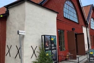 Stockholm: privat 3h rundtur - Gamla stan, färja och Vasamuseet