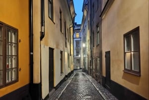 Stockholm: privat 3 timers tur - Gamle By, færge og Vasa-museet