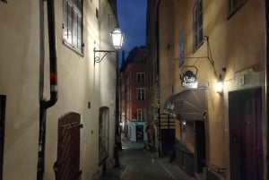 Stockholm: privat 3 timers tur - Gamle By, færge og Vasa-museet