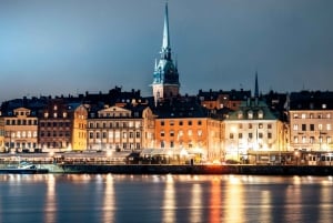 Tour privato di Stoccolma di 3 ore a piedi