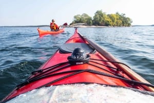 Stockholm: Private Archipelago Kayak Tours with Fika & Lunch