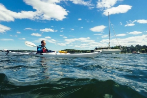 Stockholm: Private Archipelago Kayak Tours with Fika & Lunch