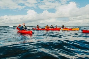 Stockholm: Private Archipelago Kayak Tours with Fika & Lunch