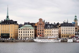 Estocolmo: Tour privado de arquitetura com um especialista local