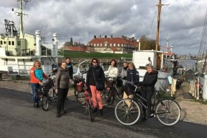 Estocolmo: Tour privado a pie personalizado con guía turístico