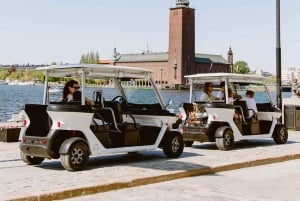 Private golfbil-turer i Stockholm